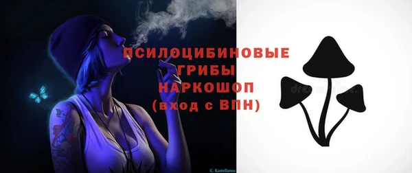 прущий лед Арсеньев