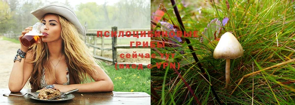 прущий лед Арсеньев