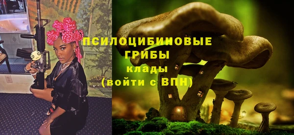 бошки Армянск