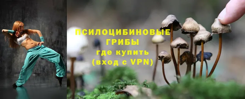 Галлюциногенные грибы Magic Shrooms  купить наркотики цена  Киржач 