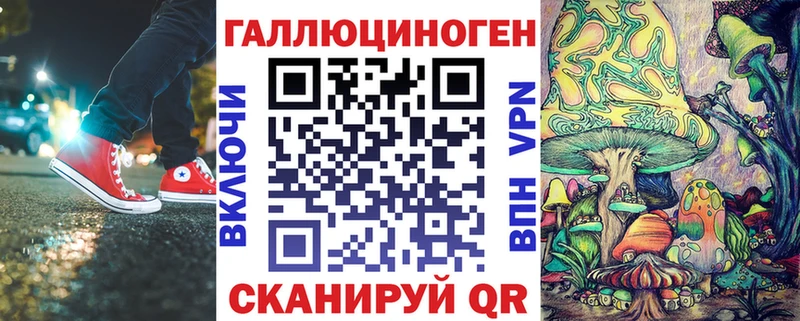 закладка Киржач Галлюциногенные грибы Psilocybine cubensis